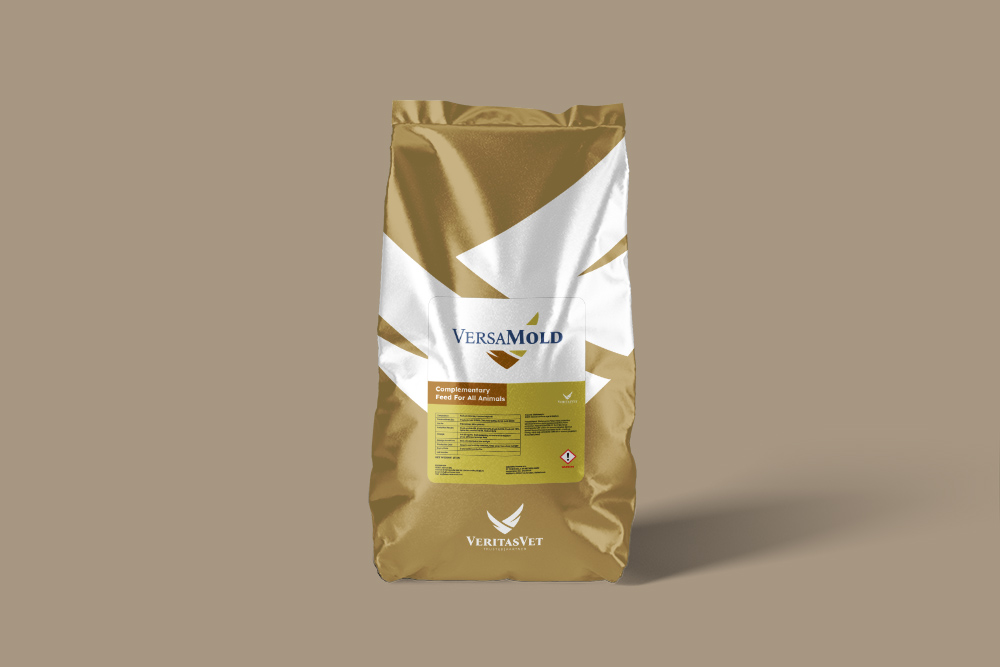 VersaMold — Premium Mold Inhibitor additif alimentaire par VeritasVet